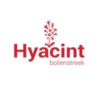 Ondernemersnetwerk “BNI Hyacint” Bollenstreek logo - Similar company to Upside Webdesign & Development