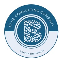 BLUE CONSULTING COMPANY logo - Similar company to Adjovan.Com