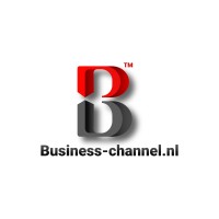 Business-Channel.tv: Meet the CEO! logo - Similar company to Avns Technosoft