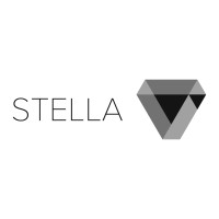 Stella International Group logo - Similar company to Stella Financial Solutions