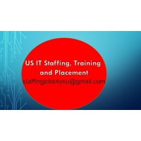US IT Staffing, Training and Placement logo - Similar company to Benchsales
