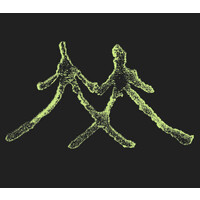 Nocturnal Medicine logo - Similar company to The World Around
