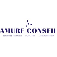 AMURE CONSEIL logo - Similar company to Monjarret