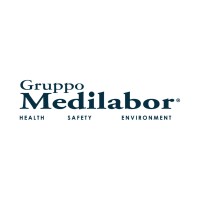 Gruppo Medilabor HSE logo - Similar company to Gdm Group