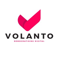 Volanto logo - Similar company to Esi Flow