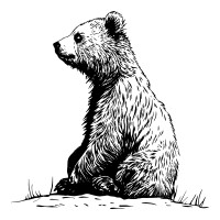 Nosy Bear Studios LLC logo - Similar company to Moriah Behavioral Health