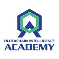 Blockchain Intelligence Academy logo - Similar company to Smart Contract Auditing