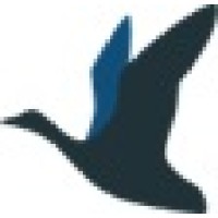 BRIZMAN LTD logo - Similar company to Gael Force Robotics