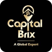 Capital Brix LLP logo - Similar company to Frog Cellsat Ltd.