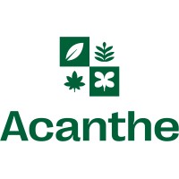 Acanthe logo - Similar company to Udo Design