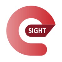 e-Sight logo - Similar company to Edit Microsystems (Pty) Ltd