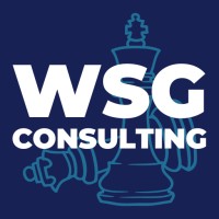WSG Consulting LLC logo - Similar company to Soc. Agr. Campoli Alessandro & Filippo