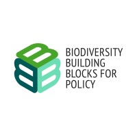 B-Cubed Project logo - Similar company to Modalshift Project