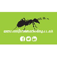 Ant Farm Marketing