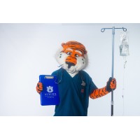 Auburn University College of Nursing logo - Similar company to Auburn University Office Of Information Technology