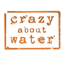 Crazy About Water logo - Similar company to Feedback To The Future