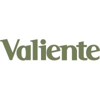 Valiente Design Company logo - Similar company to Az Publicidad Ltda.