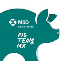 PigTeam MX logo - Similar company to Dat Consultores