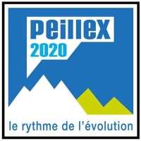 Peillex 2020 logo - Similar company to Cermosem