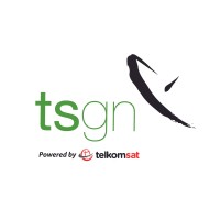 TS Global Network logo - Similar company to Network Innovations