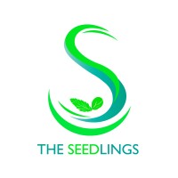 The Seedlings logo - Similar company to Kidzinc