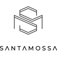 Santamossa Capital Investments, S.L. logo - Similar company to Fexcapital