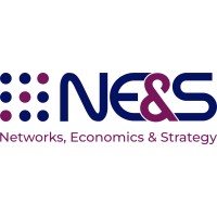 NE&S (Networks, Economics & Strategy) logo - Similar company to Data Mangrove