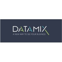 DataMix logo - Similar company to Finteka