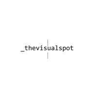 thevisualsspot logo - Similar company to Project Gelb