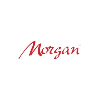 Morgan Solutions logo - Similar company to Ha-Be Egypt