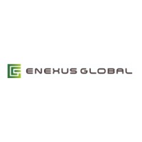 Enexus Global Inc. logo - Similar company to Rock Interview