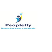 Peoplefly Solutions logo - Similar company to Peoplefly