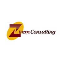 Zirem Consulting Limited logo - Similar company to Digimatix