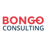 Bongo Consulting logo - Similar company to Commexis