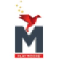 Moore Toys & Gadgets