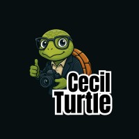 Cecil Turtle logo - Similar company to Pixlar.Co