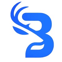 BlueDeer Consulting logo - Similar company to Atom Innovation + Product Development