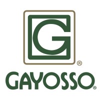 Grupo Gayosso logo - Similar company to Contabilízate
