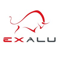 Exalu logo - Similar company to Pic Partner