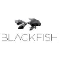 Blackfish Ltd