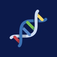 Paradigmia logo - Similar company to Xperiencia Virtual