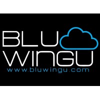 Blu Wingu Consulting