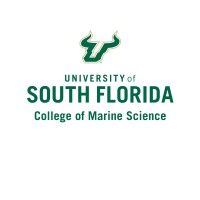 University of South Florida College of Marine Science logo - Similar company to Making Waves Reu