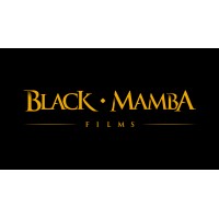 Black Mamba Films logo - Similar company to Ssf Vfx