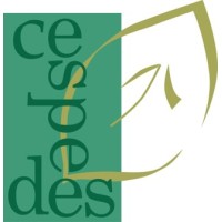 CESPEDES_CCE logo - Similar company to Cespedes