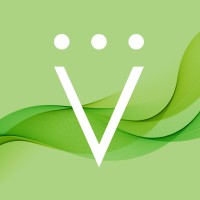 VIJUVE logo - Similar company to Btw Global