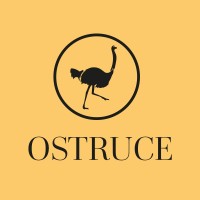 Ostruce logo - Similar company to Syncropix