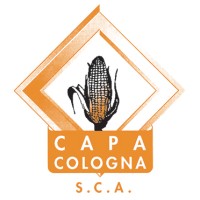 CAPA COLOGNA logo - Similar company to Spazzoni Giuseppe Spa
