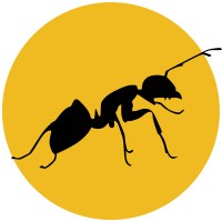 Blexon AG logo - Similar company to Everysite / Tlr Ltd