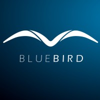 BLUEBIRD Consulting AG logo - Similar company to Bmv